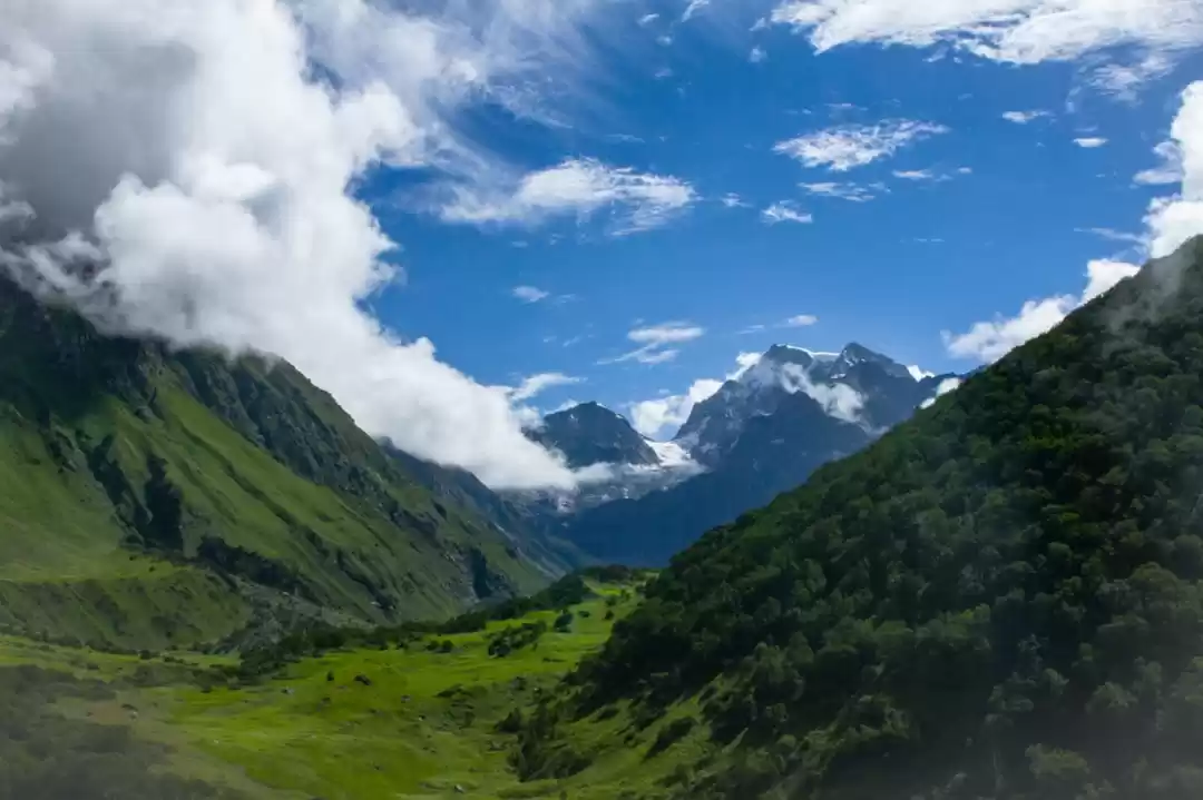Photo of Valley of Flowers