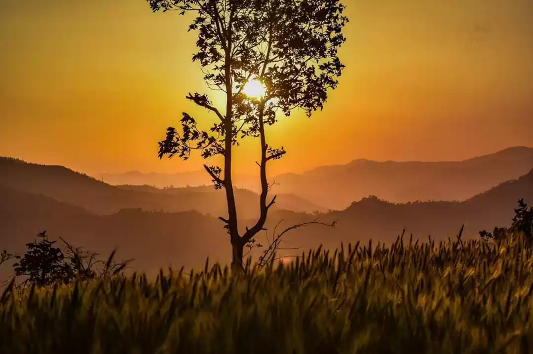 Photo of Sunset In Rara