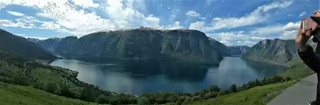 Photo of How I Planned My Fir