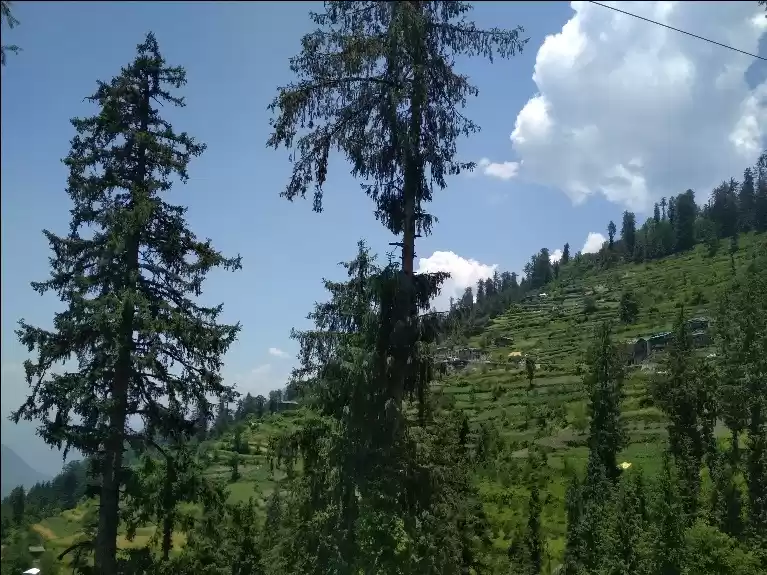 Photo of This summer travel s