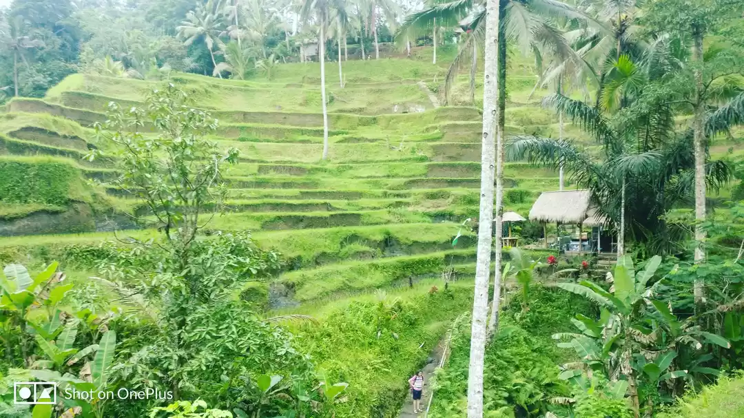 Photo of Bali, The Beach Para