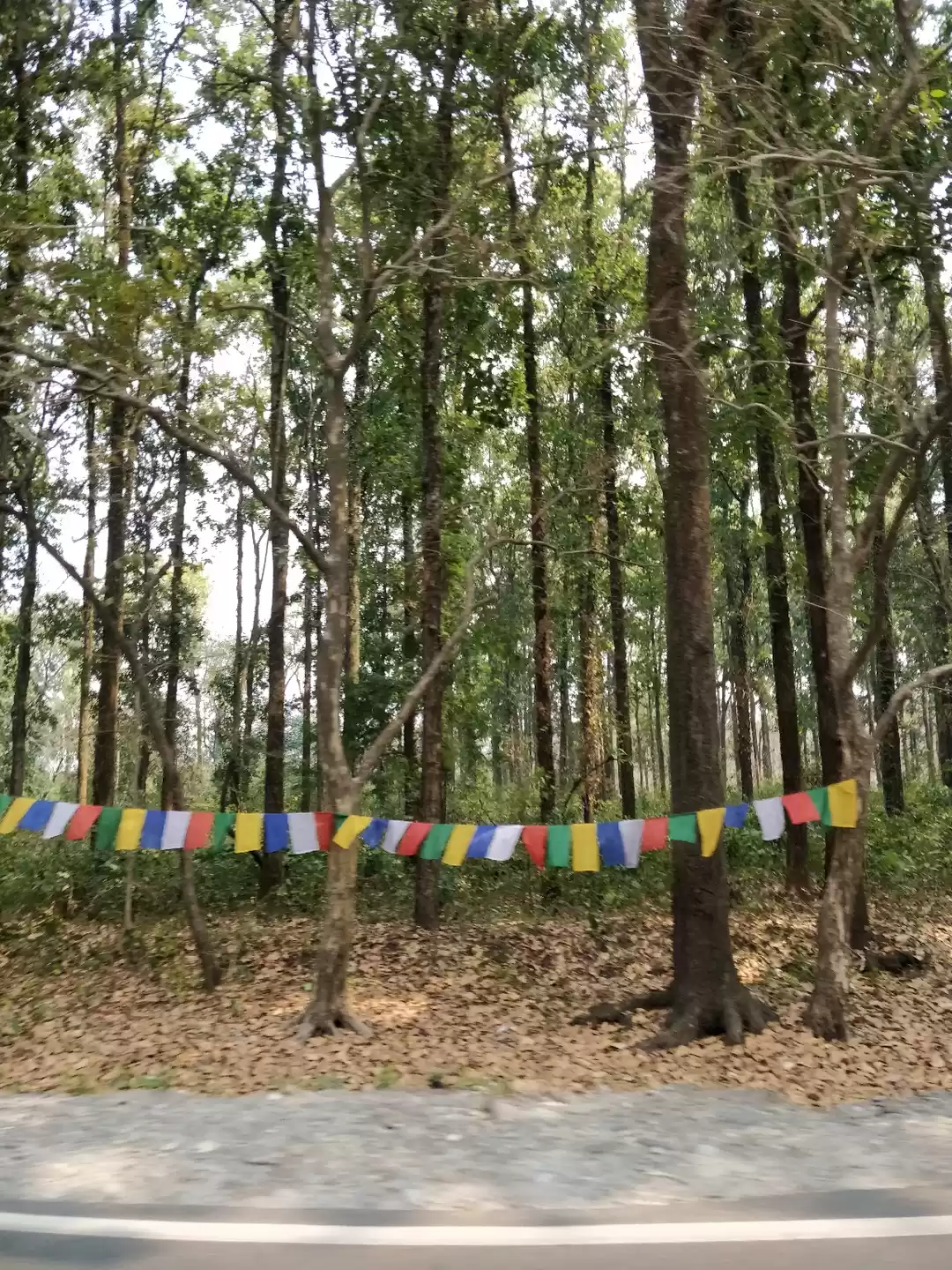 Photo of Simply Sikkim