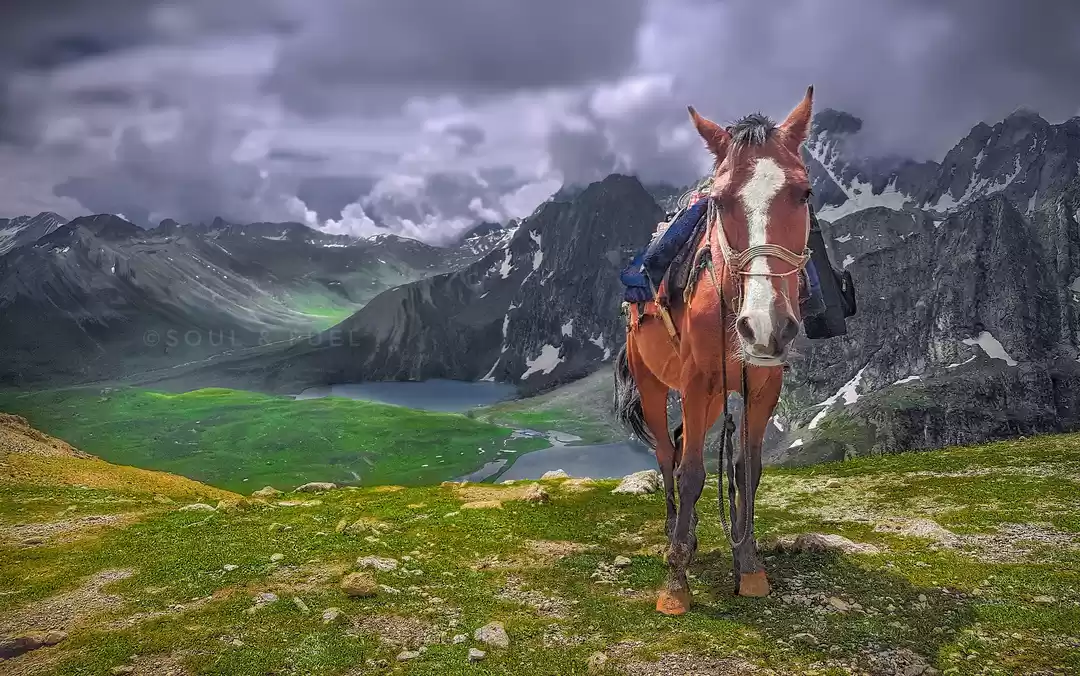 Photo of Kashmir : Paradise o