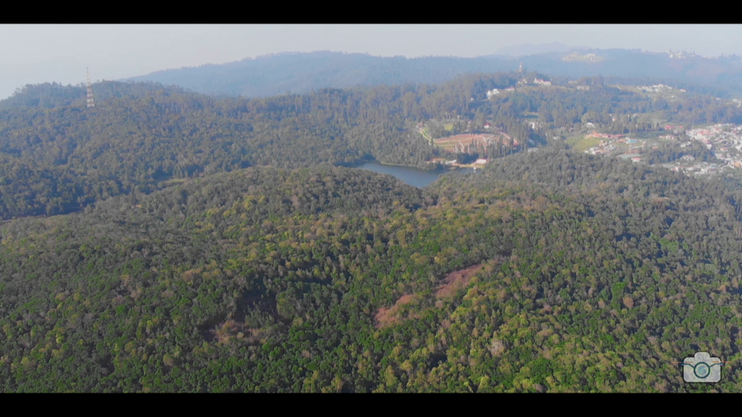 Photo of This Aerial view of 