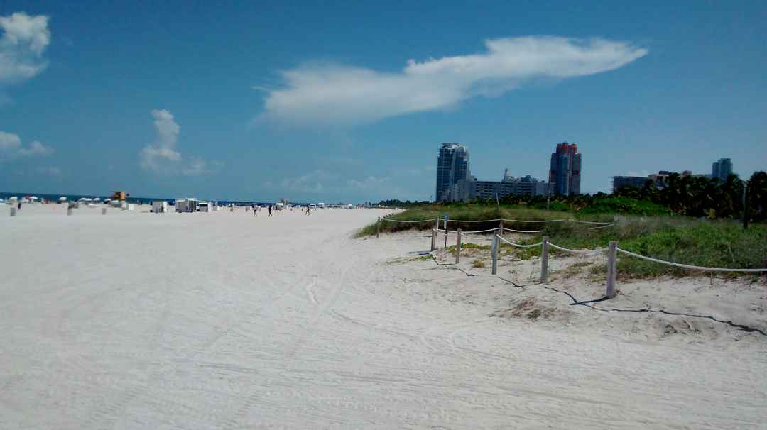 Miami Beach Travel Guide 2020 Best Of Miami Beach Tourism Tripoto