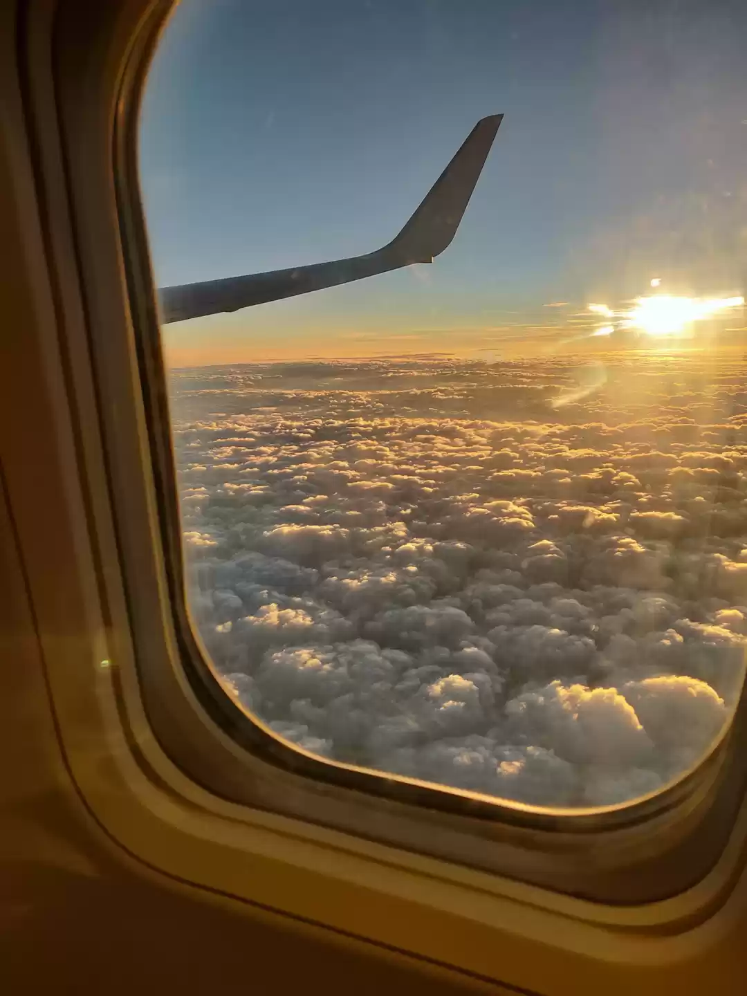 Photo of 1 Day trip to Amrits