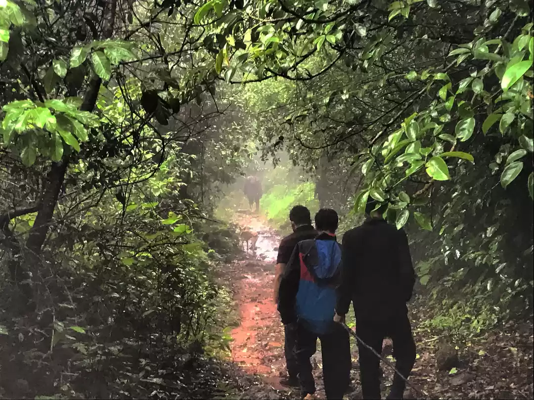 Photo of Trek to Mighty Sada 