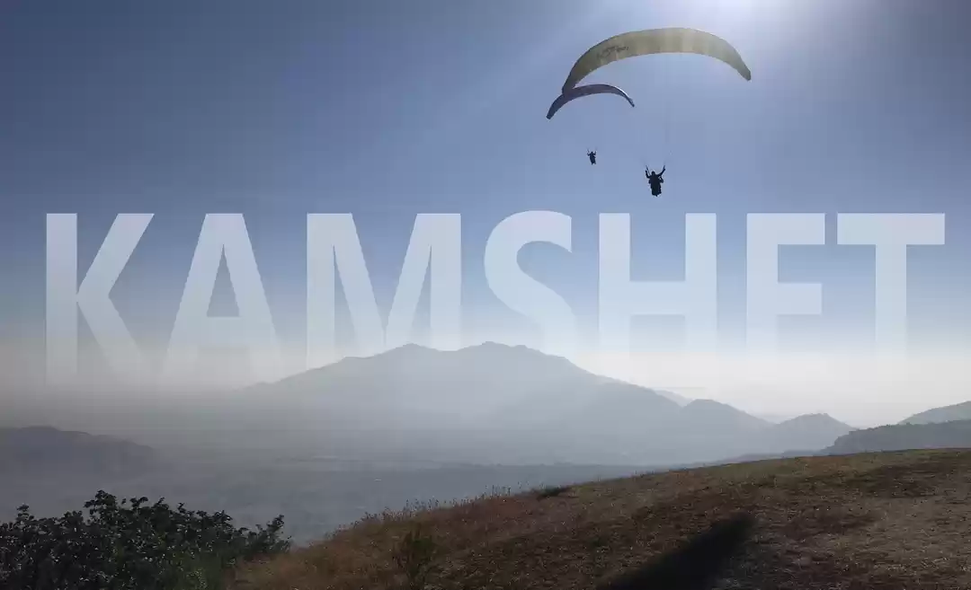 Photo of FLYING WITH THE BIRD