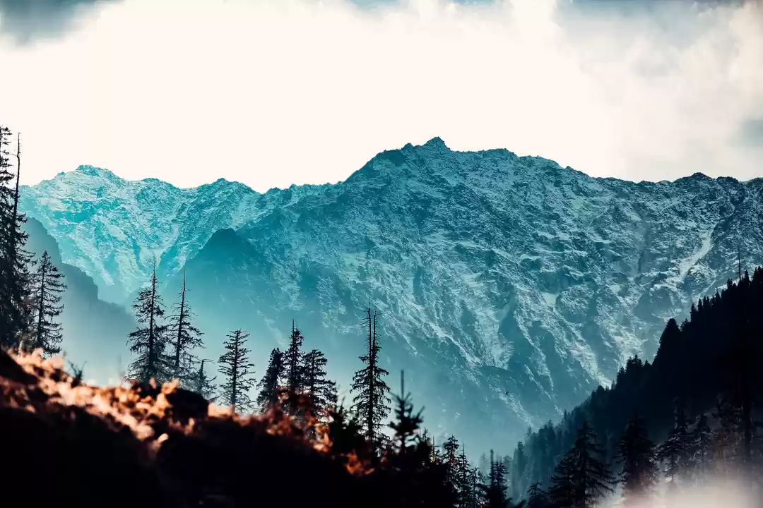 Photo of Himachal Pradesh Ann
