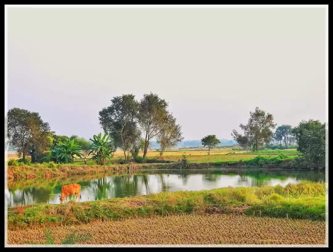 Photo of This Village Has Bee
