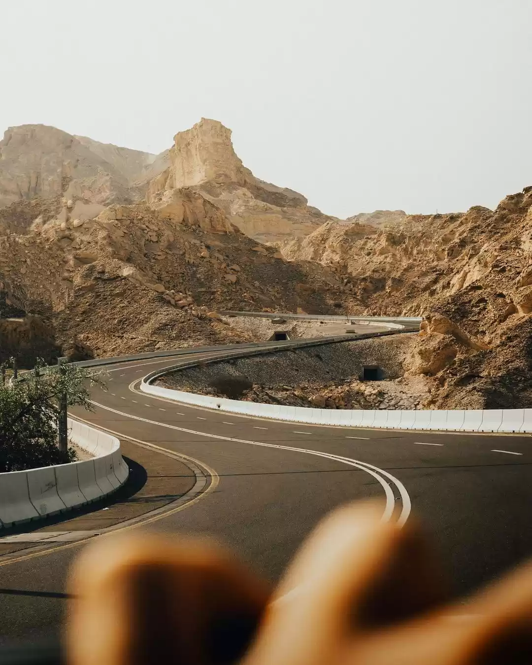 Photo of Drive From Dubai To 