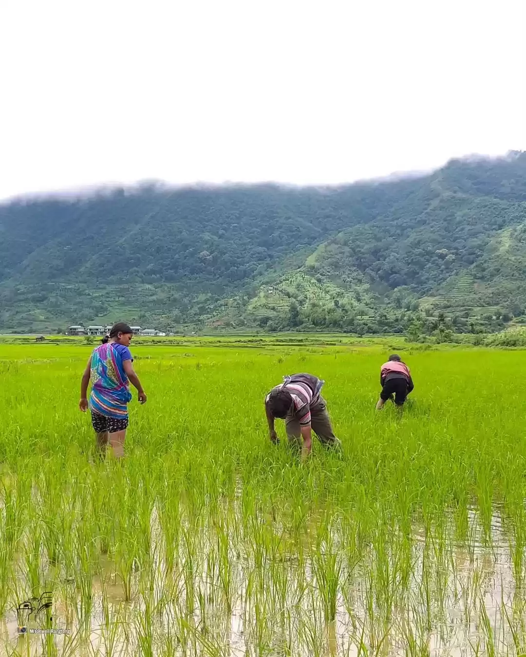 Photo of You Won't Believe T