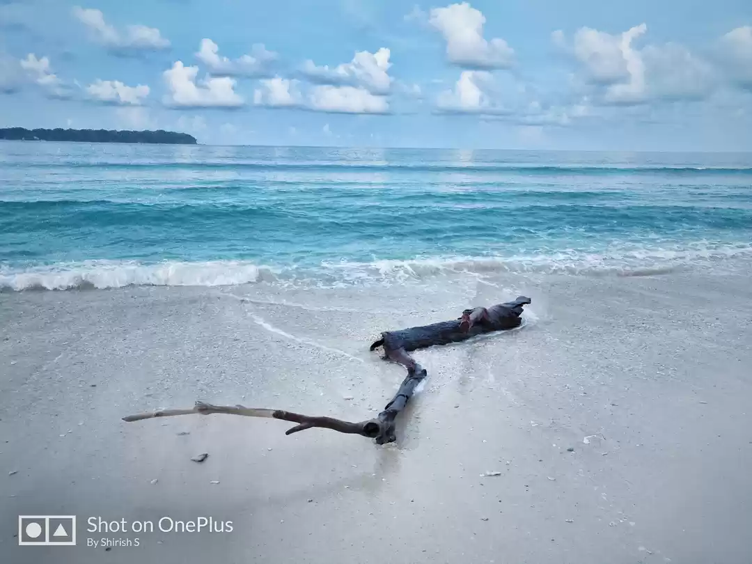 Photo of Andaman : Into The P