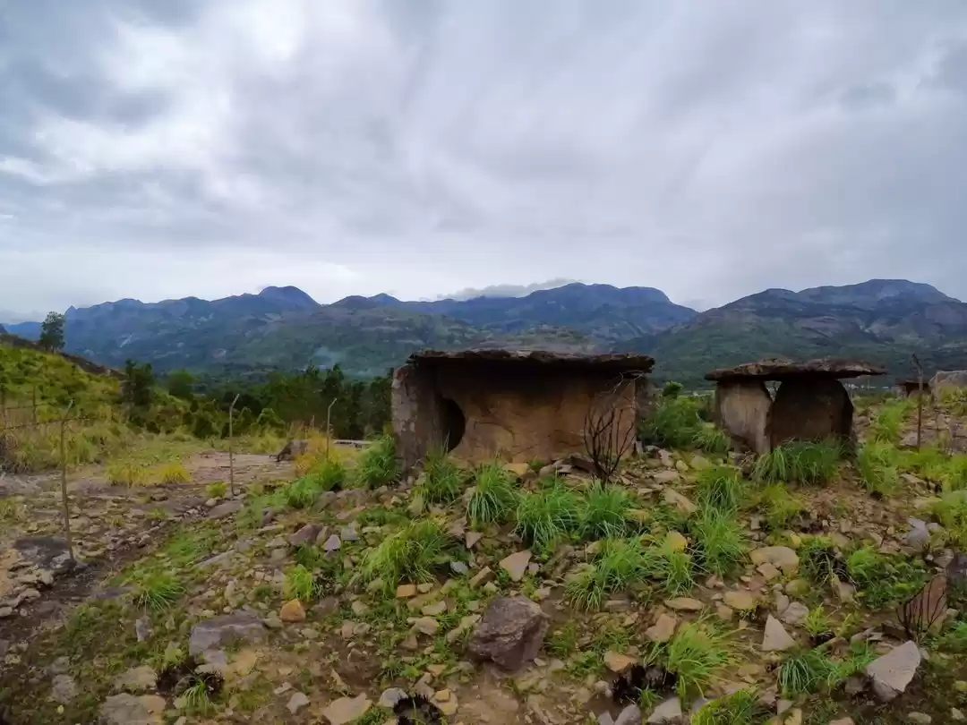 Photo of Back To The History 