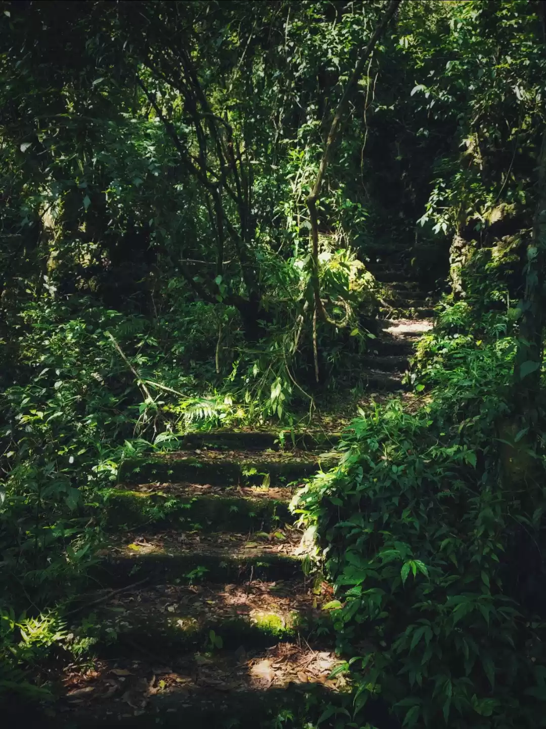 Photo of Travel photographers