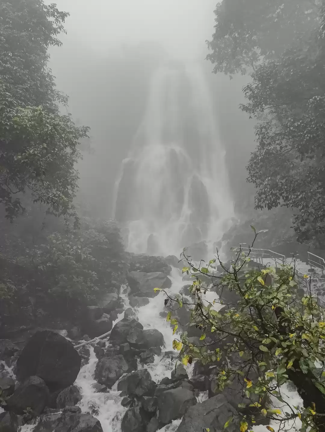 Photo of Monsoon Goa