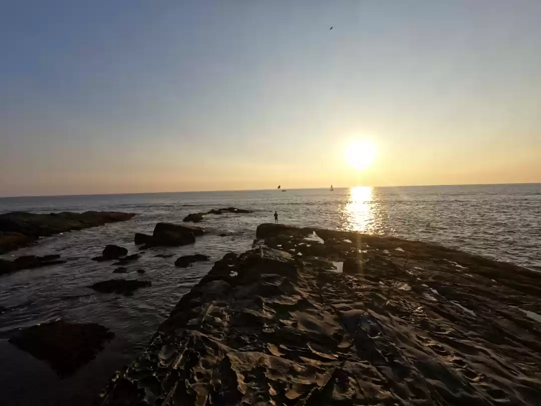 Photo of Anjuna beach camping