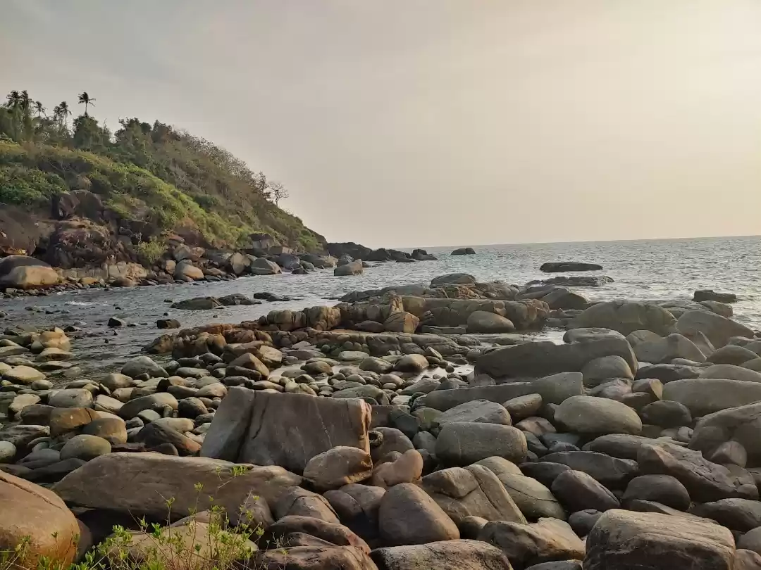 Photo of Palolem beach visit 