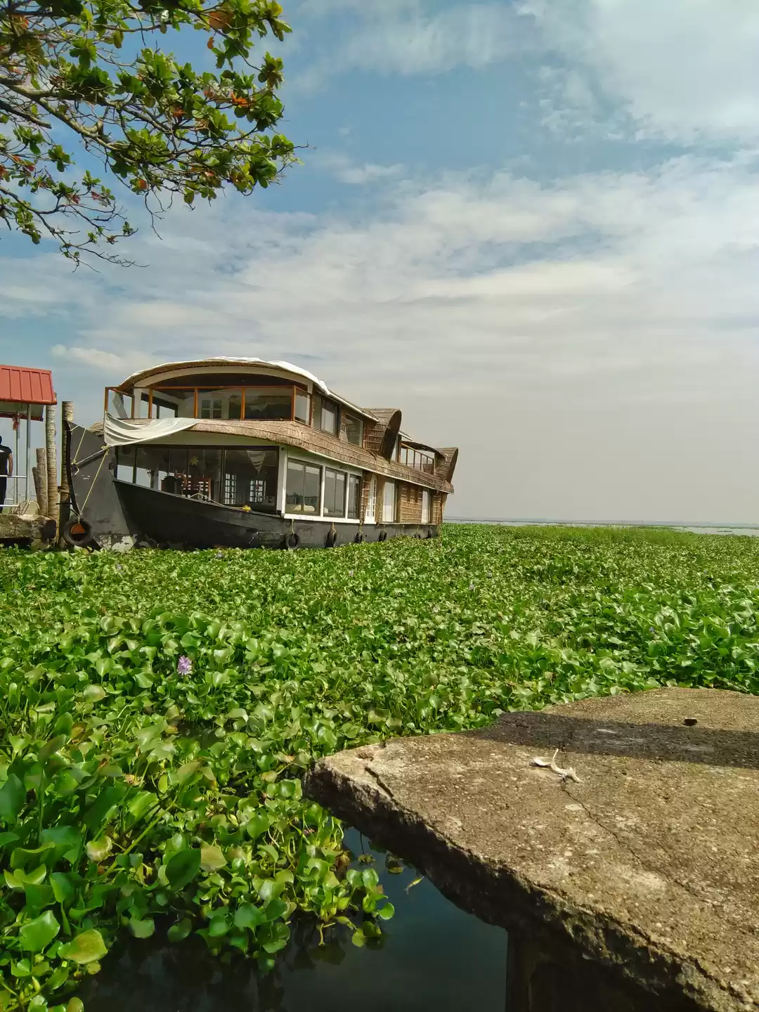 Photo of Life neither on land