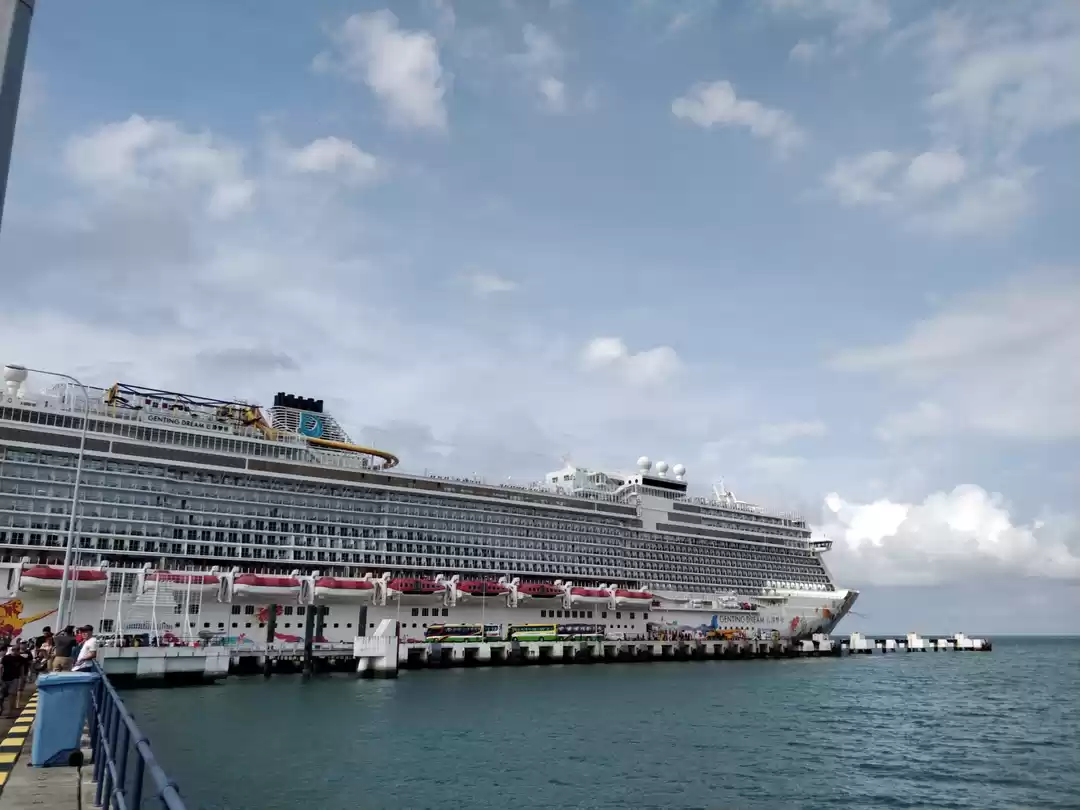 Photo of Find your #DreamHoli