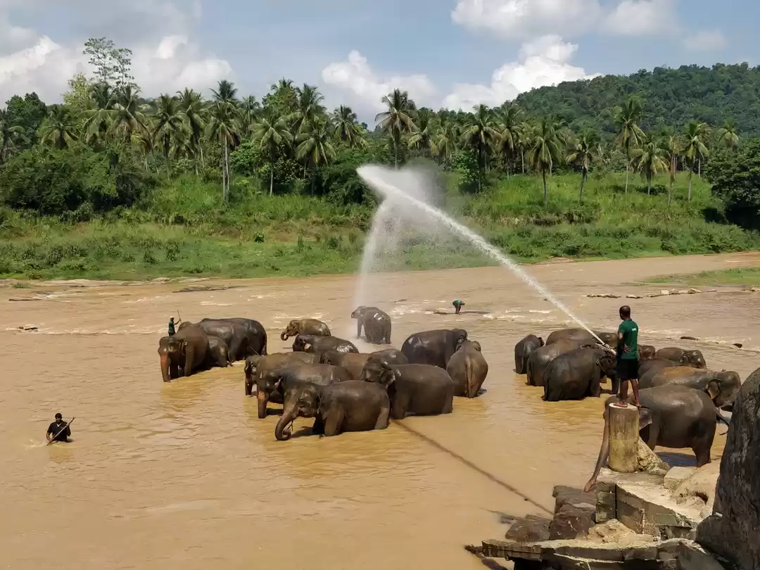 Photo of Getting up close wit