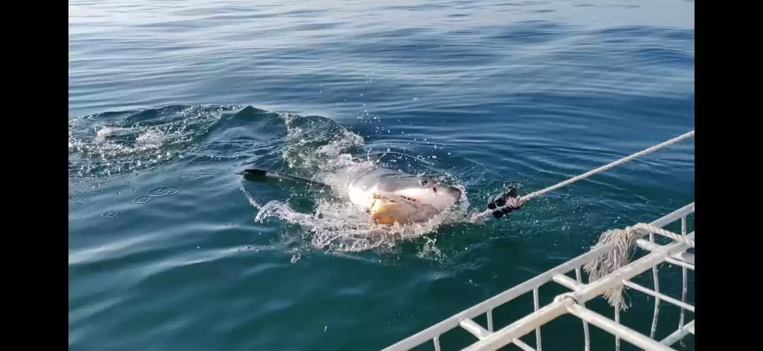 Photo of Overcoming our fear 