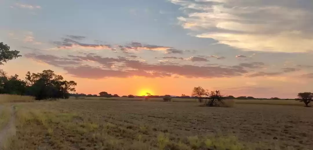 Photo of An Extraordinary enc