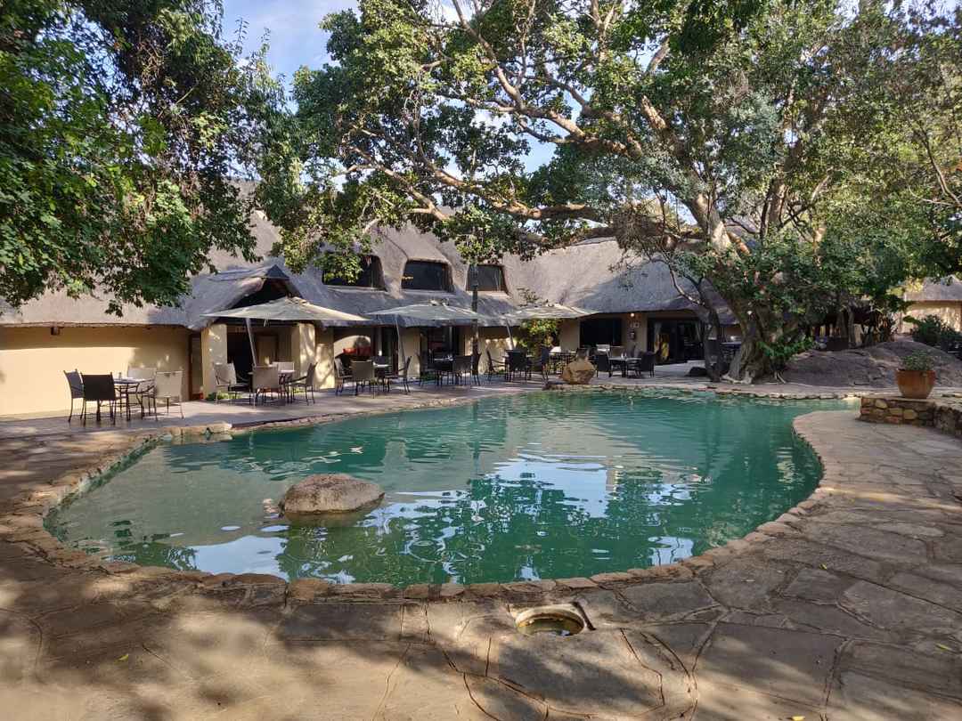 An Extraordinary encounter with the wildlife of South Africa at the Mabula  Game Reserve - Tripoto