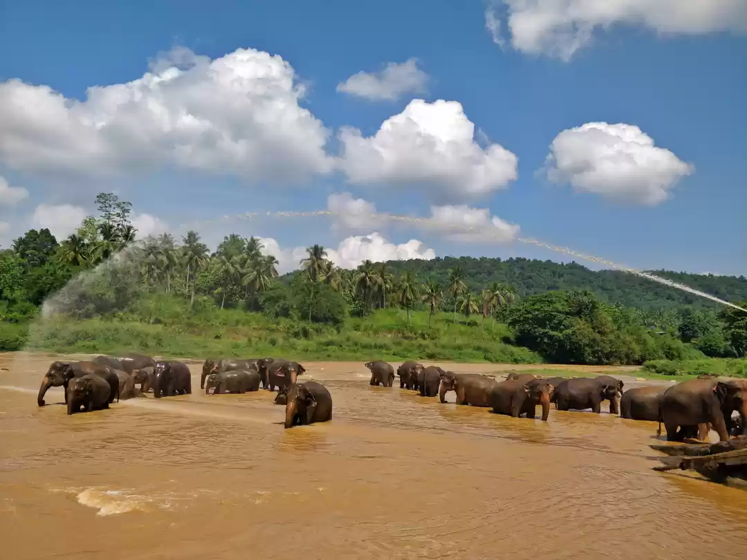 Photo of The Green Globetrott