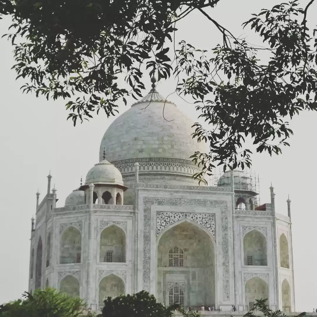 Photo of Taj from the other s