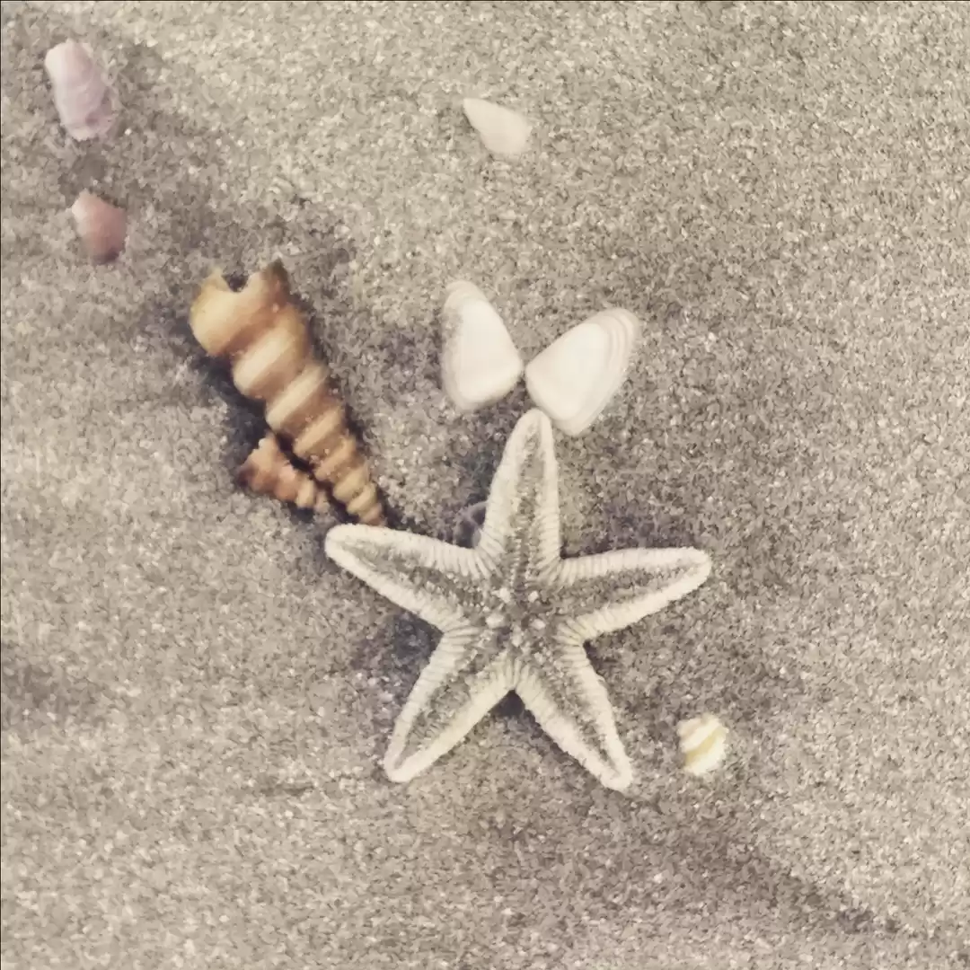 Photo of Malvan Madness