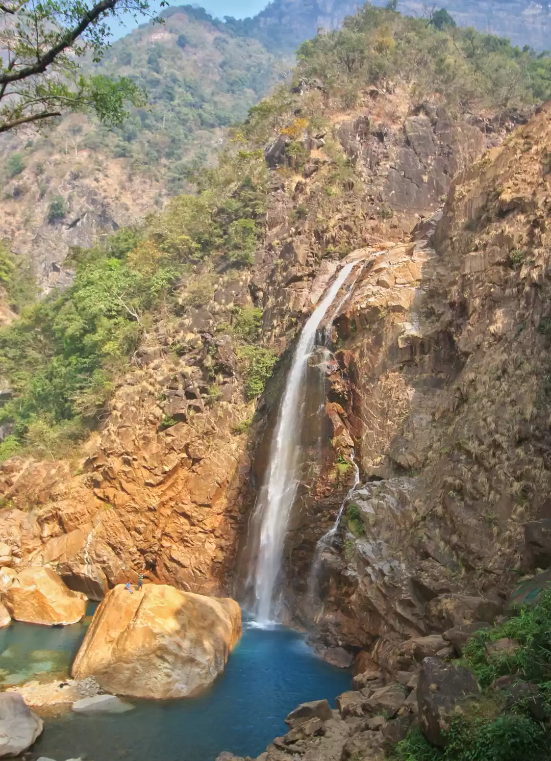 Photo of 10 Reasons why you s