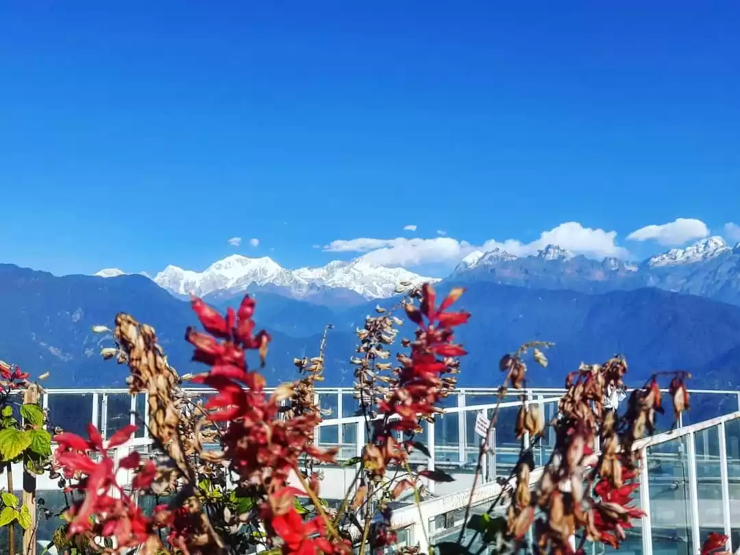 Photo of Majestic Mt Kangchen