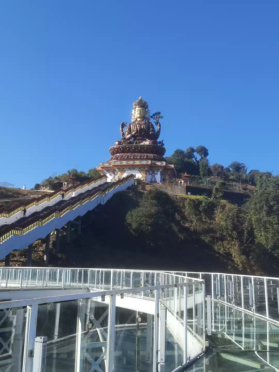 Photo of Pristine Pelling - D