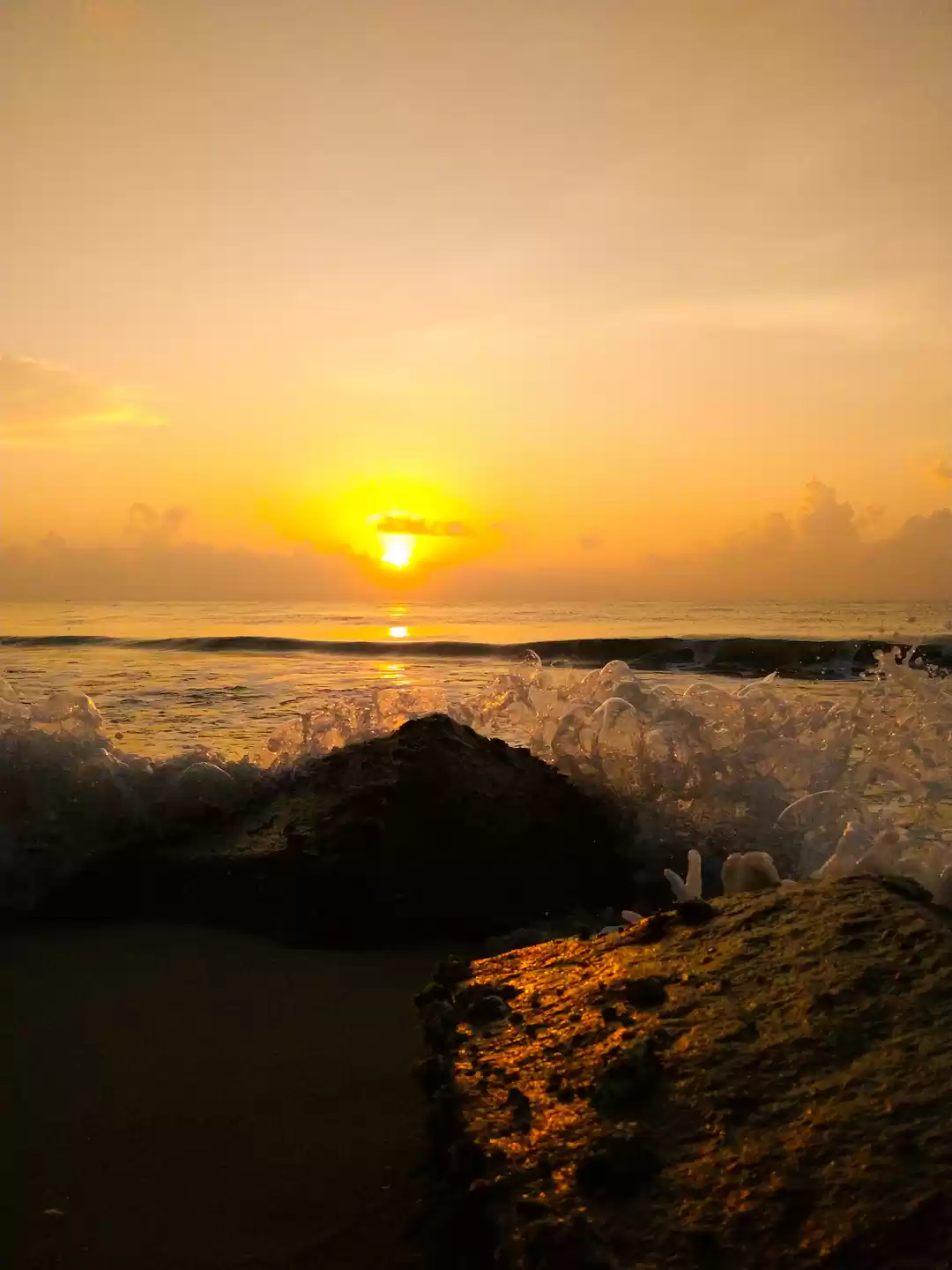 Photo of Beau is going home! 