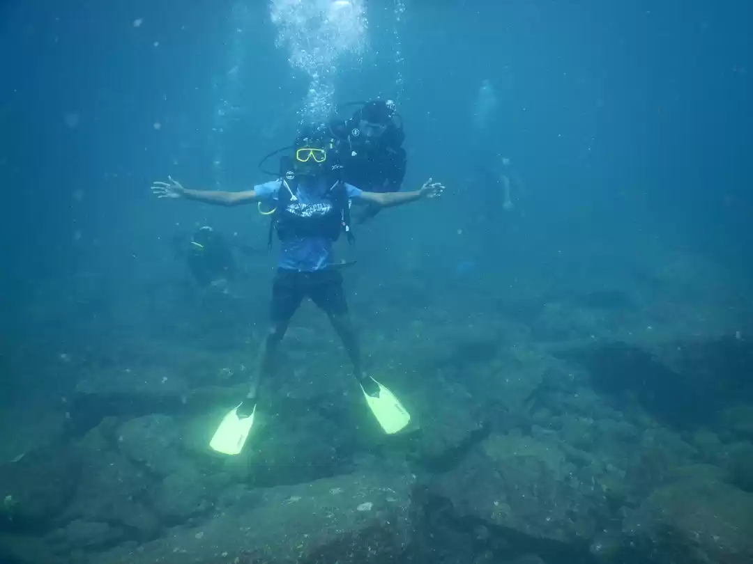Photo of Scuba diving Under 