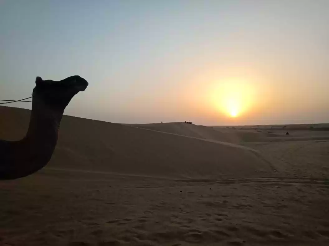 Photo of Calm desert evening 