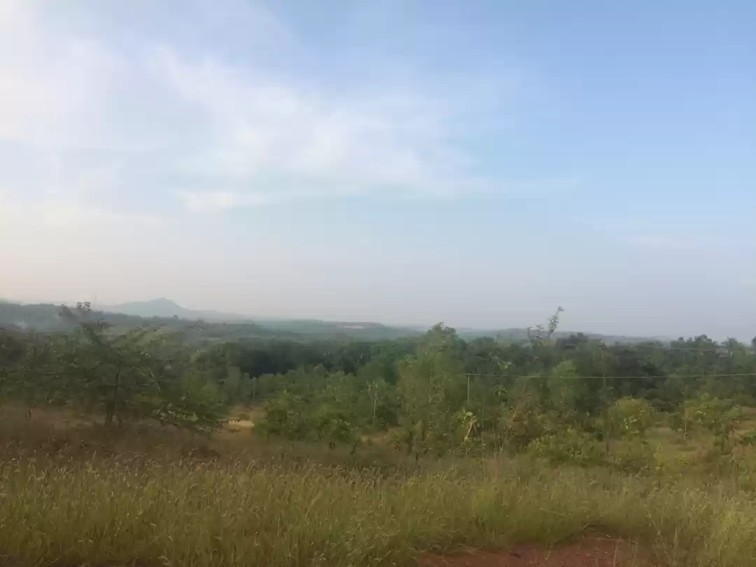 Photo of Camping with grandma