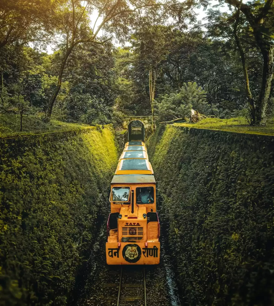 Photo of Evergreen Toy Train 