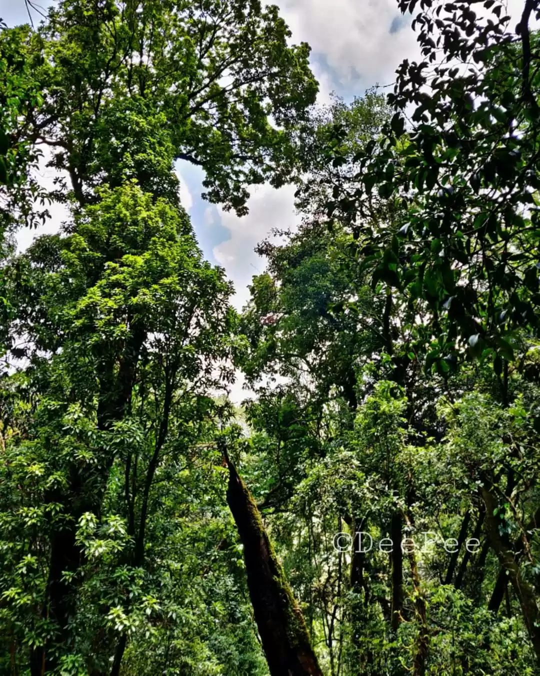 Photo of Heart up in the sky 