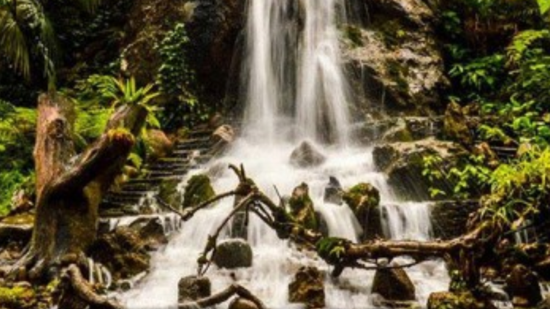 Photo of Water fall
