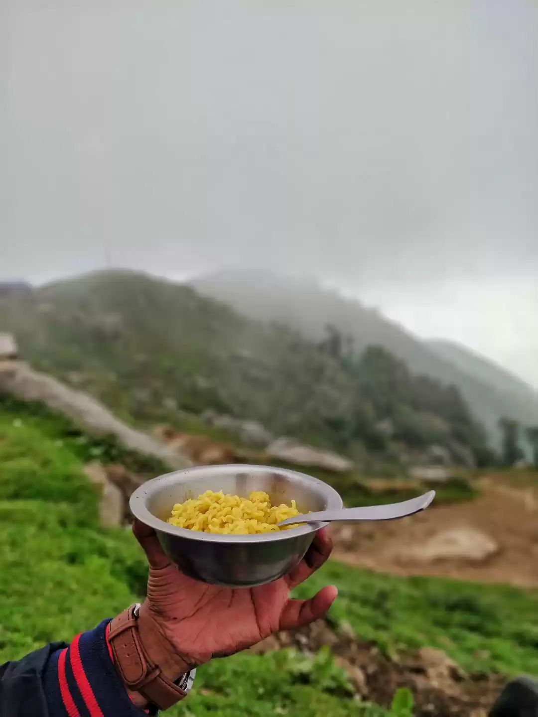 Photo of Maggi