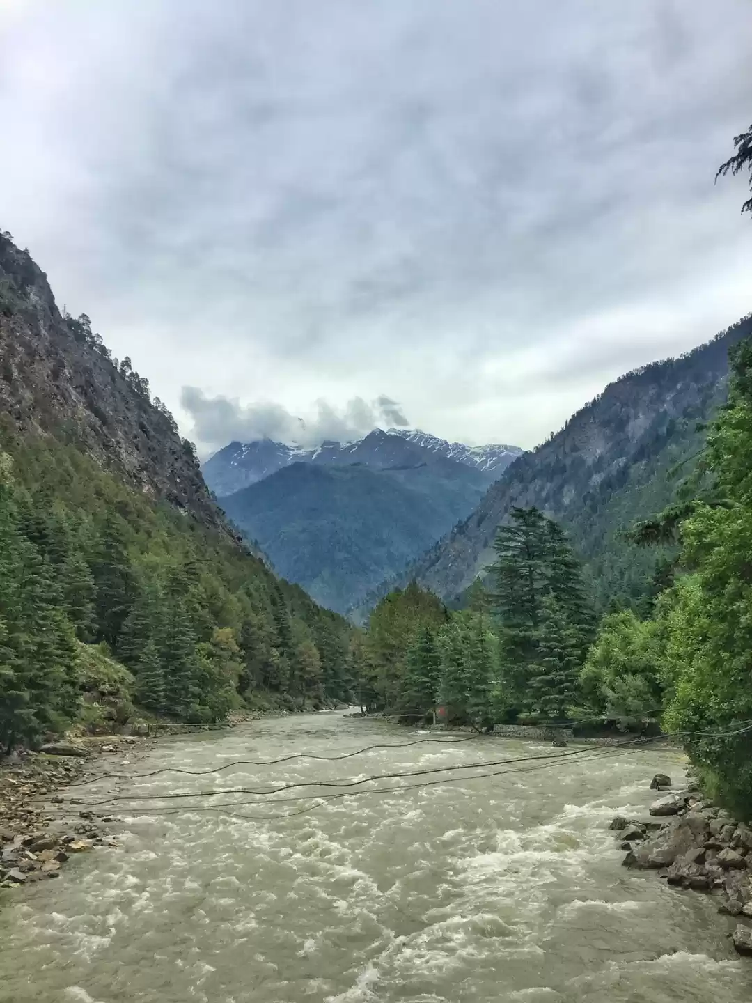 Photo of A First Timer's Gui