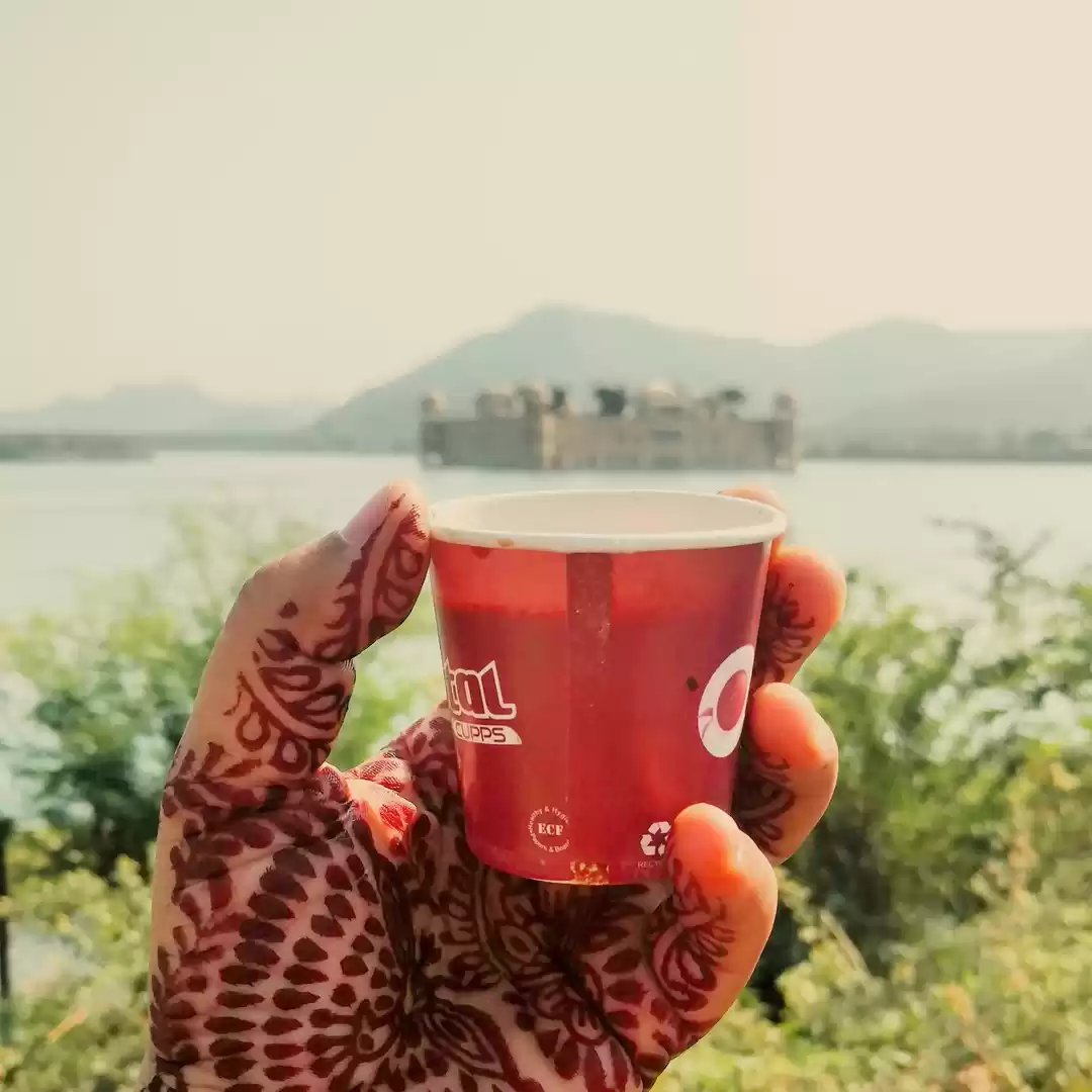 Photo of Jal Mahal view over 
