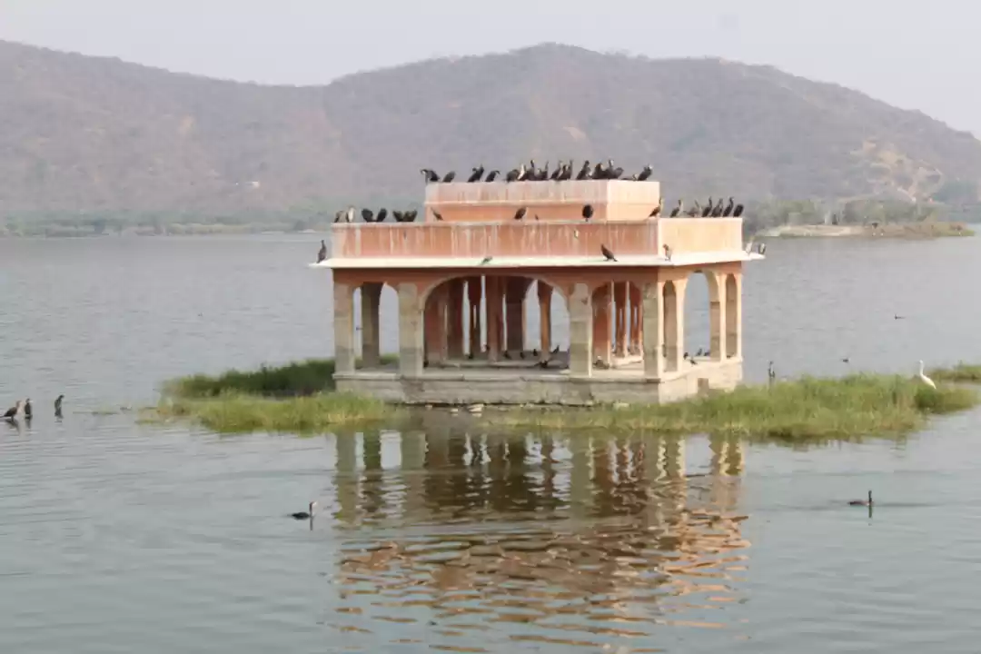 Photo of Jal mahal