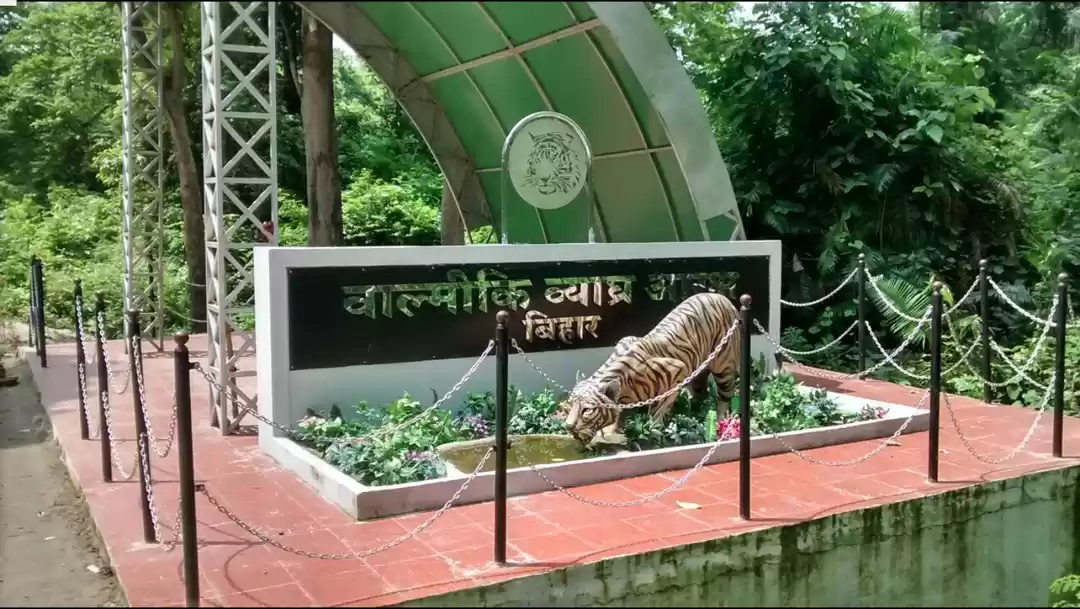 Photo of जिम कार्बेट-राजाजी प