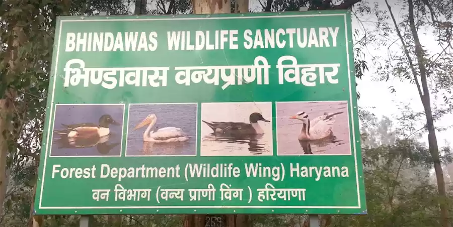 Photo of हरियाणा के सबसे बड़े