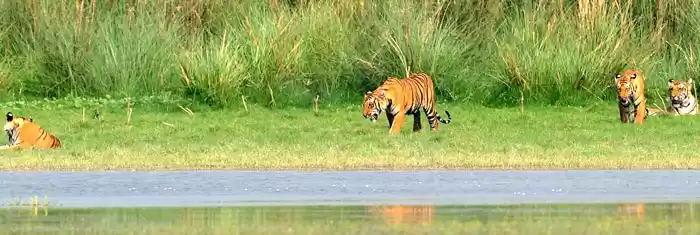 Photo of उत्तर प्रदेश में लें