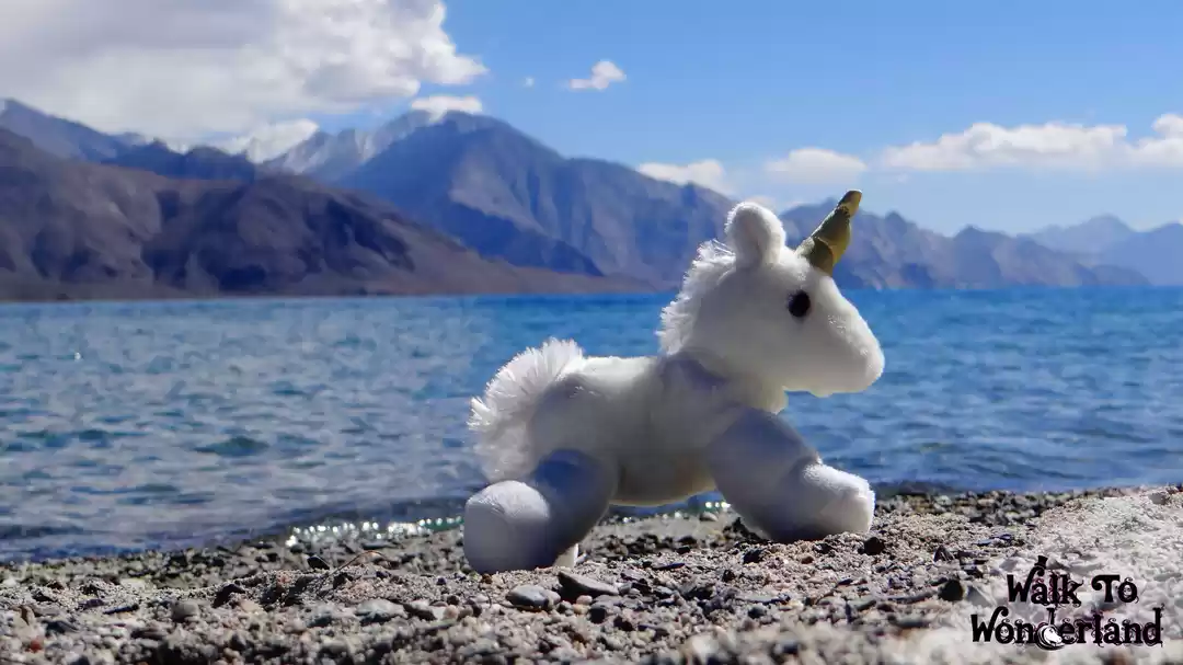 Photo of Once Upon A Lake