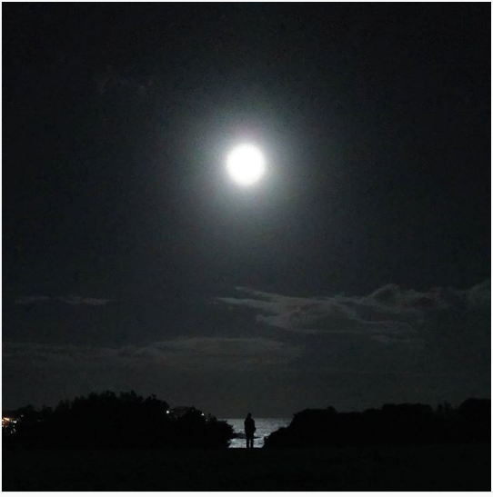 Photo of Bondi Beach. Austral